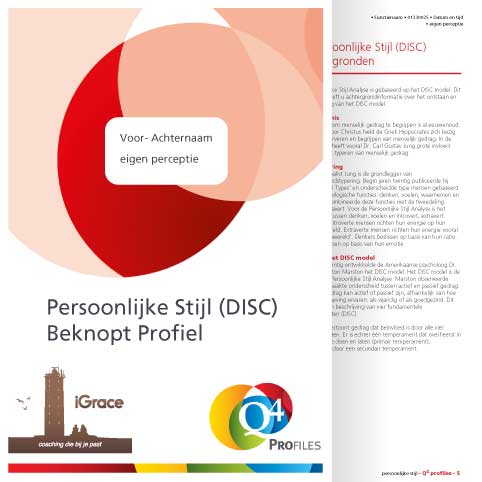 Gratis beknopt persoonlijk profiel